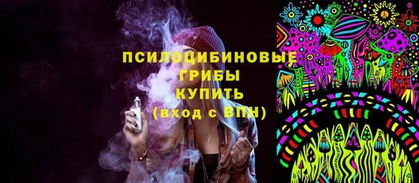МДПВ Алзамай
