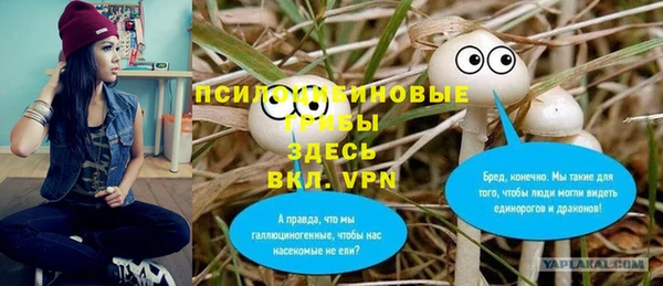 МДПВ Алексин