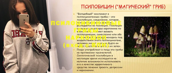 МДПВ Алексин