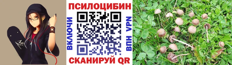 мега сайт  Кировград  Галлюциногенные грибы Psilocybine cubensis 